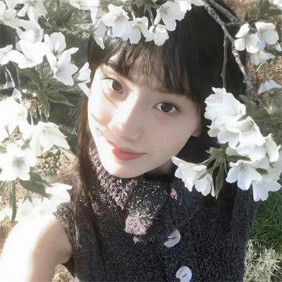 伊莎贝尔